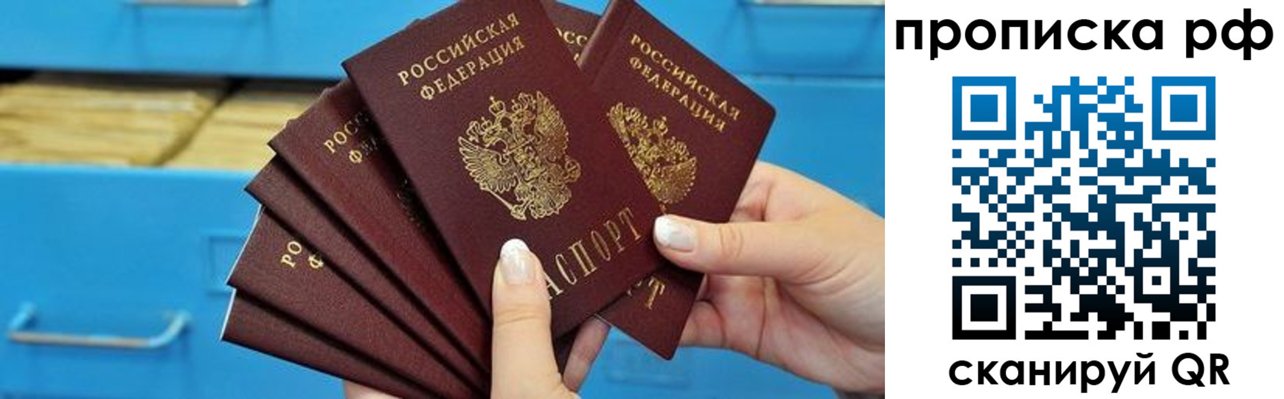 прописка поиск в Приморском крае
